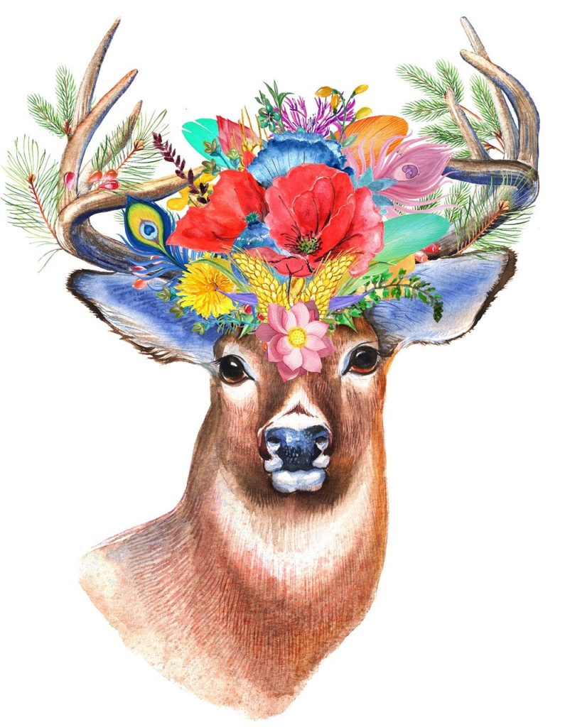 stag, wildflower, floral